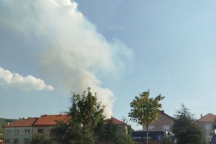 Požar u ataru naselja Donje Vlase, niški vatrogasci na terenu