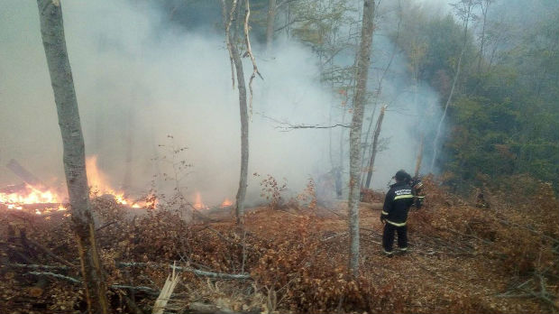 Požar u podnožju Suve planine, gori 10 hektara šume