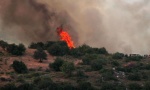 Požar u predgrađu Atine, više od 30 vatrogasaca gasi plamen (VIDEO)