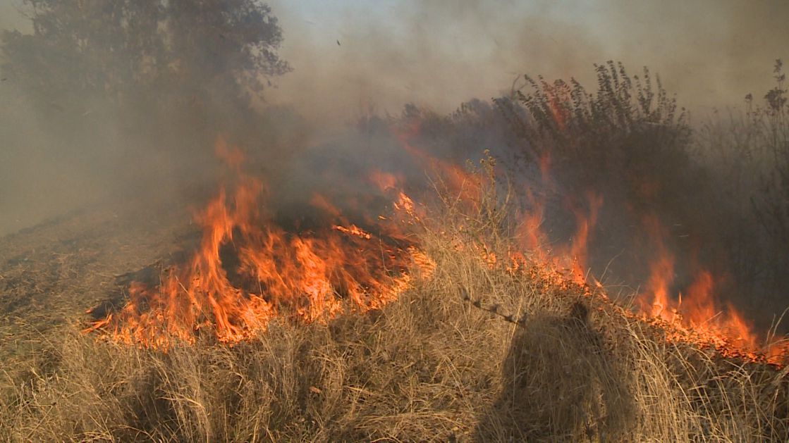 Požar zahvatio više od 100 hektara na Svrljiškim planinama