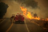 Požari besne širom Kalifornije: Hiljade evakuisano, vatrena stihija guta šume i domove; stiže nov problem FOTO