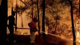 Požari i Turska: Skoro nedelju dana vatrogasci dan i noć biju bitku sa vatrom