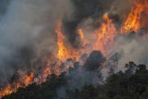Požari i danas u Fokidi i na Peloponezu: Vatrogasci vode bitku VIDEO