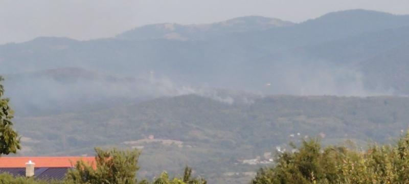 Požari na području Vranja stabilizovani, u toku gašenje aktivnih žarišta