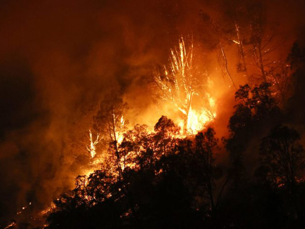 Požari ne prestaju da besne u Kaliforniji, vatrena stihija uništila čitav grad