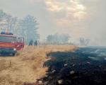 Požari niskog rastinja na više lokacija oko Niša, vatrogasci na terenu