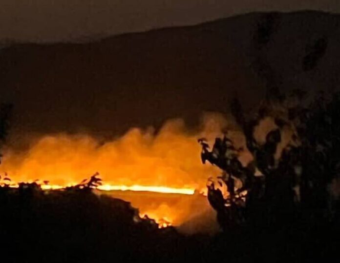 Požari ponovo zahvatili Toplički okrug – vatrogasci gasili na više lokacija tokom noći