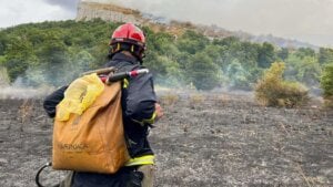 Požari prete zbog vrućina: MUP apeluje, kazne i za fizička i za pravna lica