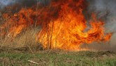 Požari širom Italije, sa Sicilije evakuisano 700 turista