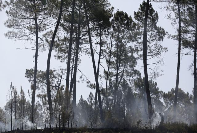 Požari u Portugaliji se polako lokalizuju