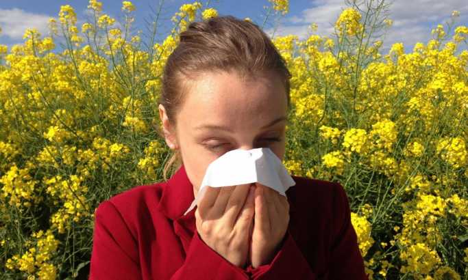 Prava istina o sezoni alergija