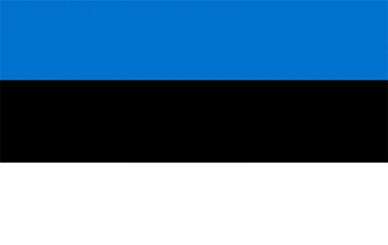 Predsednik Estonije Karis: Susedne države Rusije moraju da se pripremaju za najgore