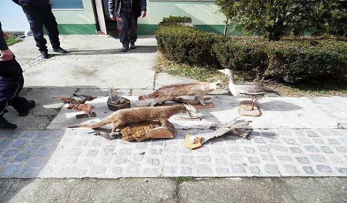  Predsednik Lovačkog društva iz Svilojeva kažnjen za držanje zaštićenih ptica