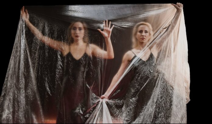 Predstave i razgovori o ženskim pravima i heroinama logora „Crveni krst“ u Nišu