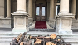 Predstavnici opštine Stari grad istovarili posečeno drvo sa Kalemegdana ispred Skupšine grada