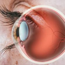 Pregledom očiju mnogo pre može  da se utvrdi STRAŠNA BOLEST koja sa prvim simptomima već postaje opasna!