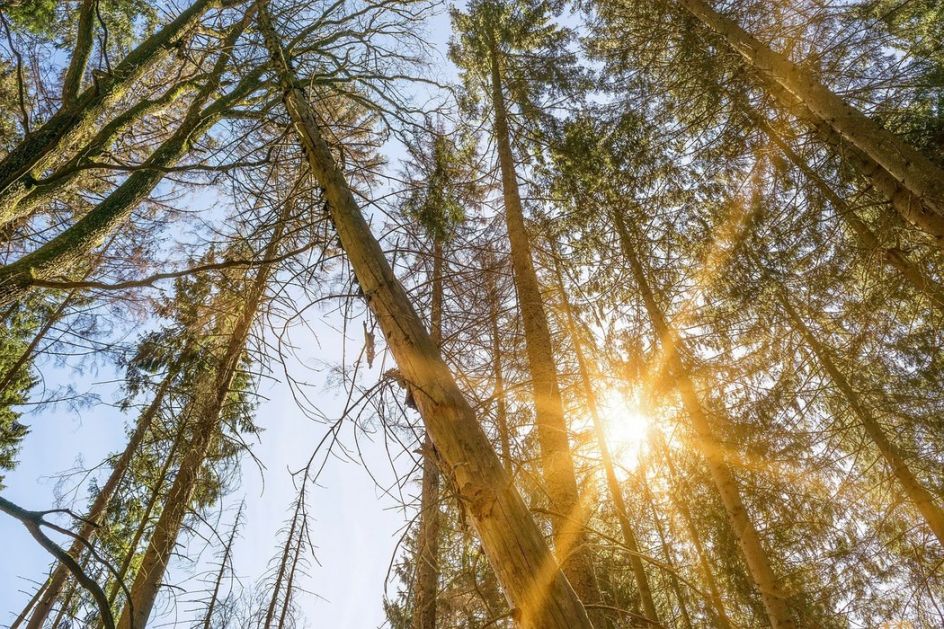 Prepodne pretežno sunčano, do 27 stepeni, uveče moguća kiša