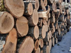 Pripreme za zimu - ogrevno drvo jeftinije, pelet i ugalj ne menjaju cenu, centralno grejanje skuplje