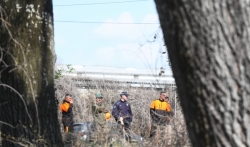 Privedeno dvoje aktivista na Šodrošu, stabla i dalje padaju