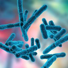 Probiotici pod lupom: Naučnici otkrivaju iznenađujuće rezultate