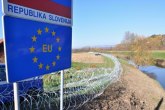 Problemi u Sloveniji, Vlada na staklenim nogama?