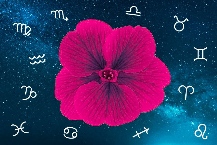 ljubavni horoskop za maj 2018
