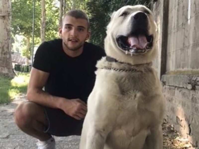 Procurila slika: Veljko Ražnatović optužen da zlostavlja svog psa, a oglasio se i on!