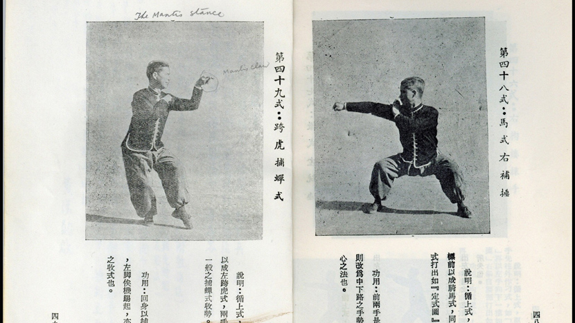 Prodaje se fascinantna knjiga Brusa Lija koja otkriva kung fu tajne. Evo koja je cena ovih vrednih fotografija i ispisanih stranica (FOTO)