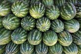 Prodato oko 2.150 tona voća i povrća: Lubenica zabeležila ovogodišnji rekord