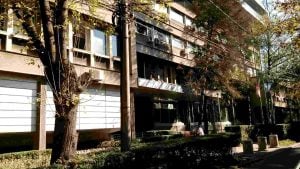Profesor FPN: Bez institucija ulazimo u spiralu nasilja i nepravde
