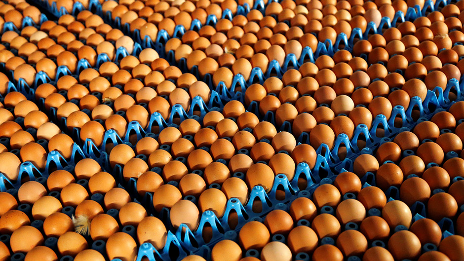 Proizvodi na bazi zaraženih jaja pronađeni i u Španiji