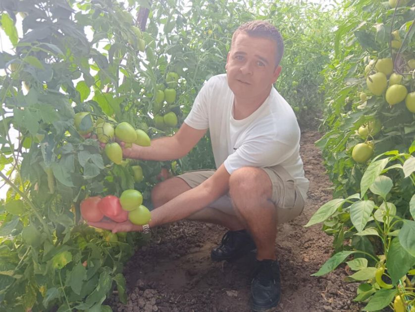 Proizvodnja lubenica i dinja u plasteniku porodice Vitkovac