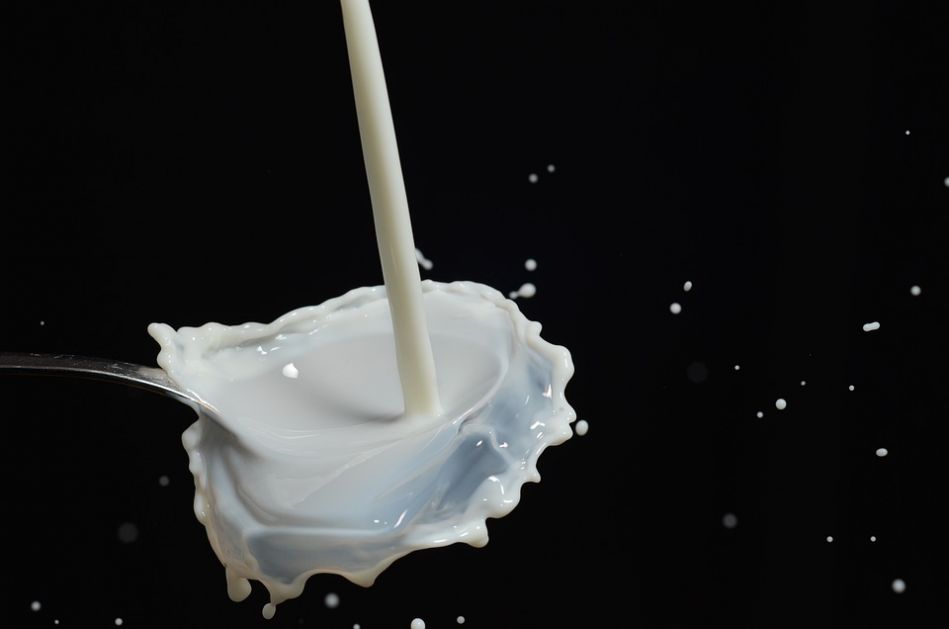 Proizvodnja mlijeka u Srbiji pala više od 20 odsto