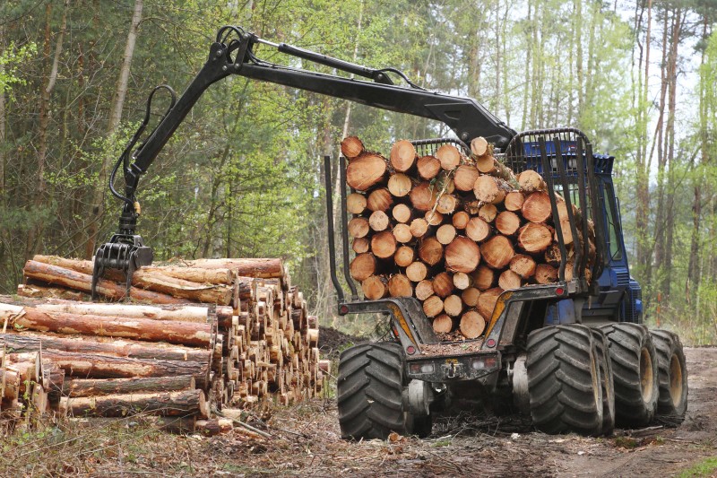 Proizvodnja veća za 1,7 odsto, prodaja manja za 2,4 odsto šumskih sortimenata