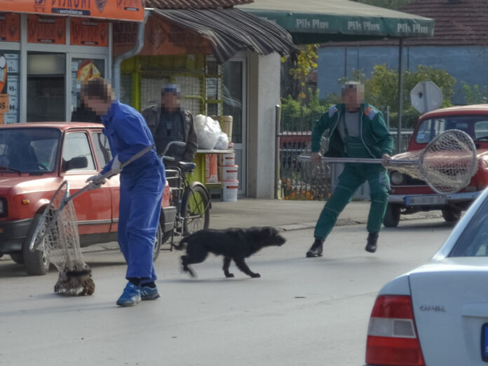 Prokupački „Vodovod“ sklopio ugovor o zbrinjavanju pasa sa firmom u višegodišnjoj blokadi – prihvaćena pet puta skuplja ponuda