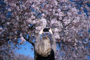 Proleće je stiglo: Prelepi prizori cvetanja u fotografijama