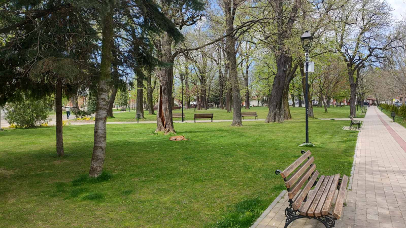 Proleće stiže u petak 20. marta