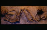 Pronađeni ostaci novootkrivene ljudske vrste: Čovek zmaj menja priču o ljudskoj evoluciji