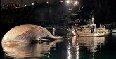 Pronađeno telo kita: Jedan od najvećih ikada viđenih na Mediteranu FOTO