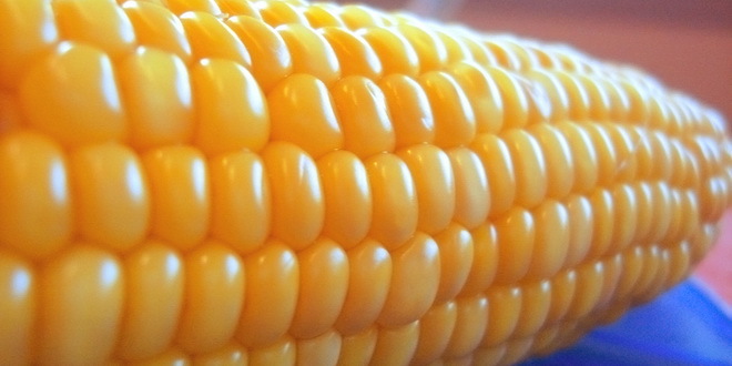 Prošle nedelje rast cena kukuruza i soje