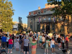 Protest Srbija protiv nasilja u Nišu - Neka bude borba neprestana