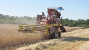 Protest poljoprivrednih proizvođača „Stig“ 28. juna zbog niske cene pšenice