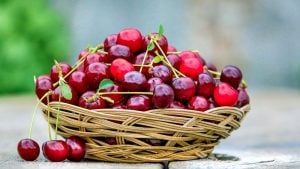 Prve trešnje idu i do 1.500 dinara po kilogramu, očekuju se skuplje i kajsije, breskve, šljive…