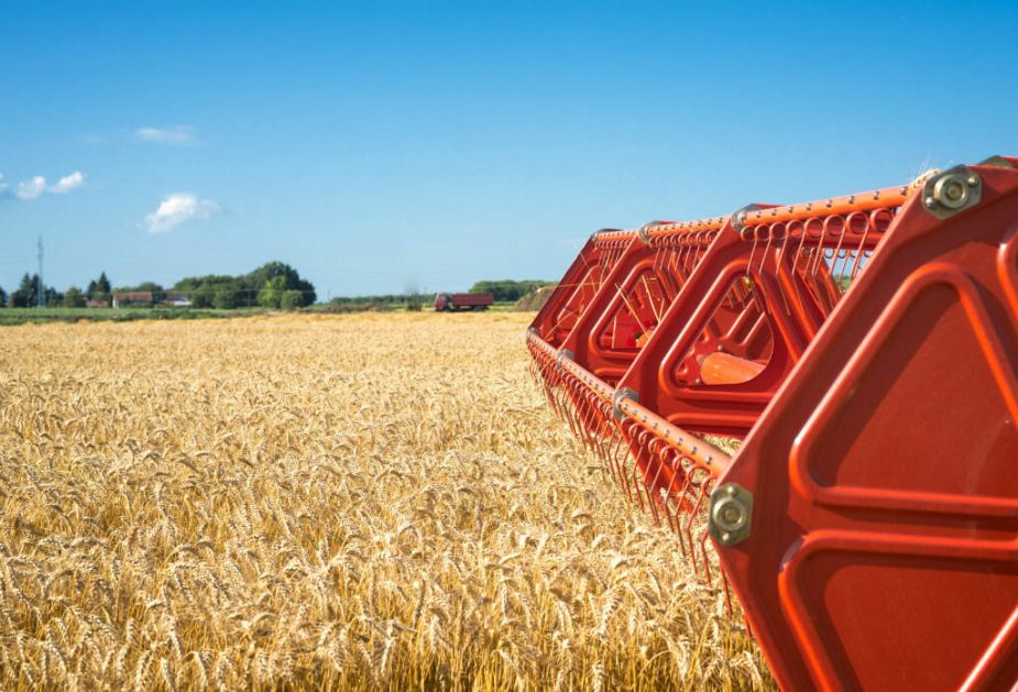Prvi put žetva pšenice i ječma gotovo mesec dana ranije - očekivani rod tek oko proseka (AUDIO)