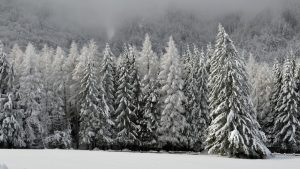 Prvi sneg pao na Straoj planini i Kopaoniku