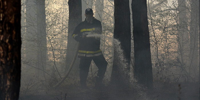 Pune ruke posla za borske vatrogasce: Gorelo na čak šest lokacija