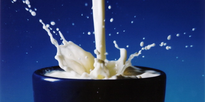 Punomasno mleko i sirevi u cilju prevencije kardiovaskularnih bolesti