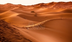 Pustinja Sahara bila močvara prepuna najstrahovitijih dinosaurusa