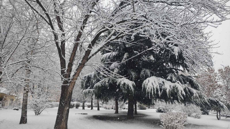 Putevi Srbije upozoravaju na sneg koji će padati večeras i jaku košavu u ostatku nedelje