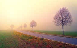 
					Putevi u Srbiji prohodni, moguća usporavanja zbog magle i padavina 
					
									